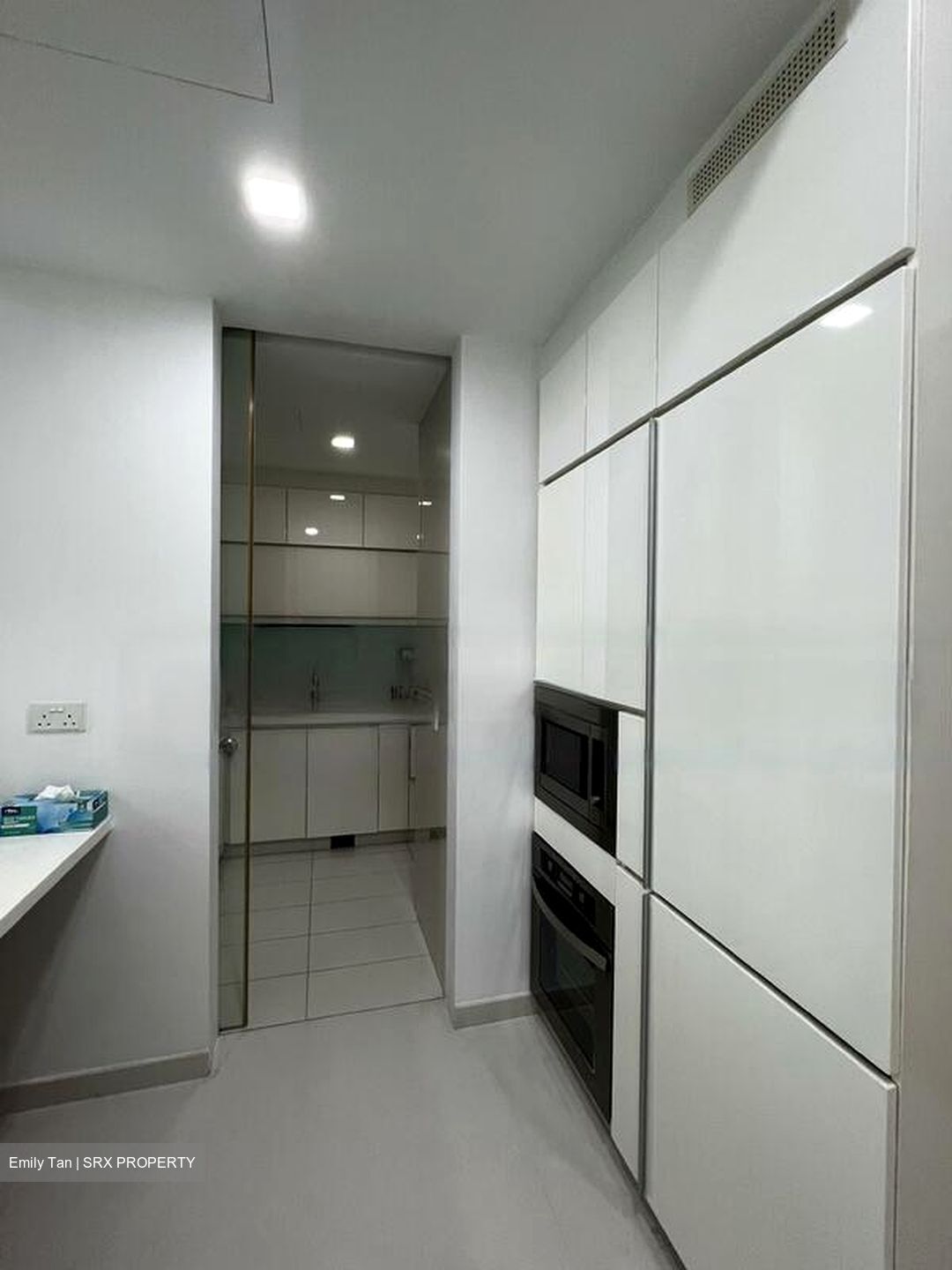 Soleil @ Sinaran (D11), Condominium #481103121